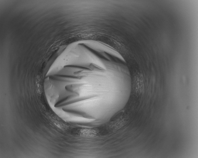 X0000052950234200507300053