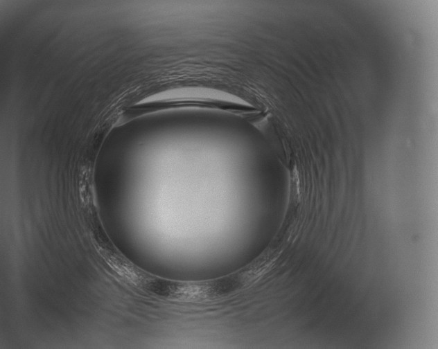 X0000052950237200507300053