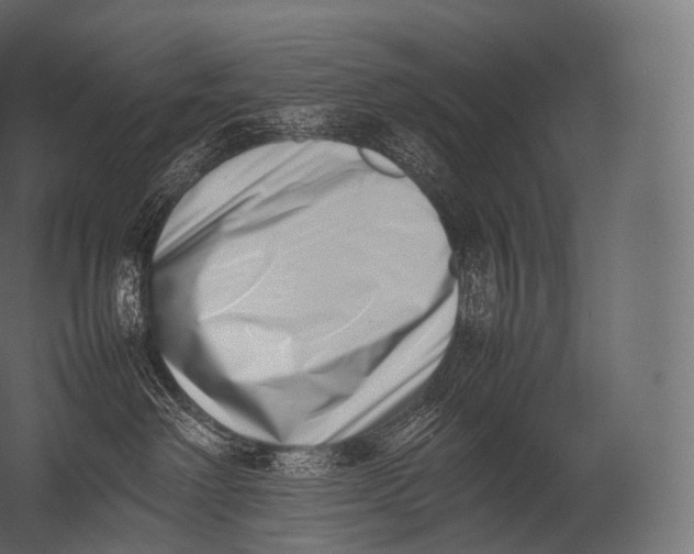 X0000052950238200507300053