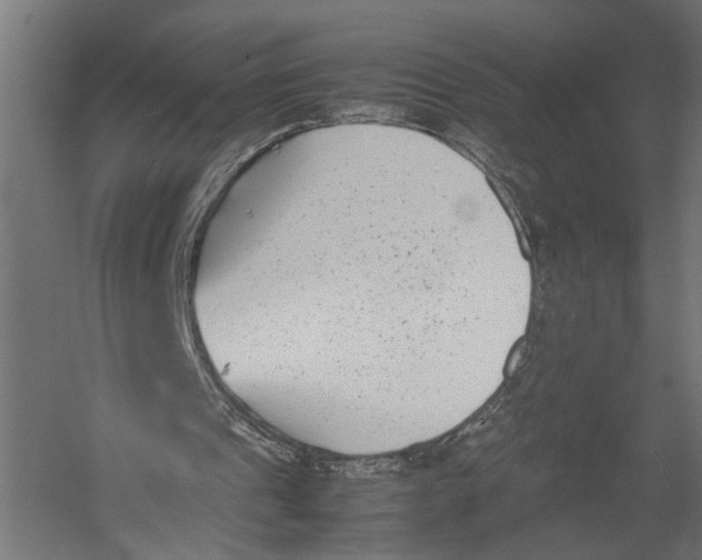 X0000052950241200507300052