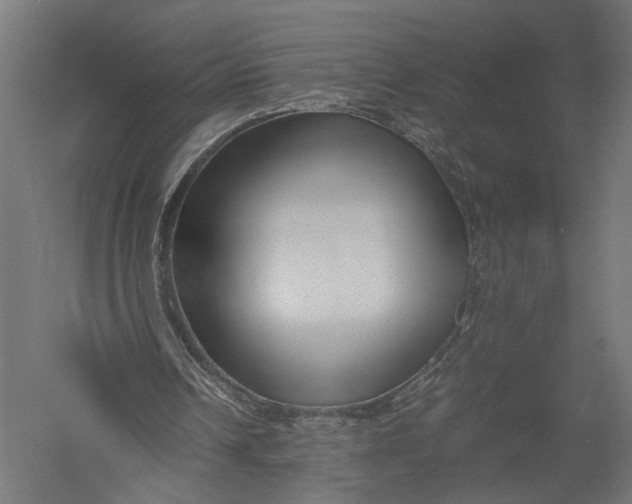 X0000052950242200507300052
