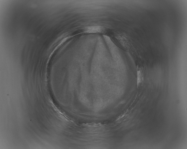 X0000052950243200507300052