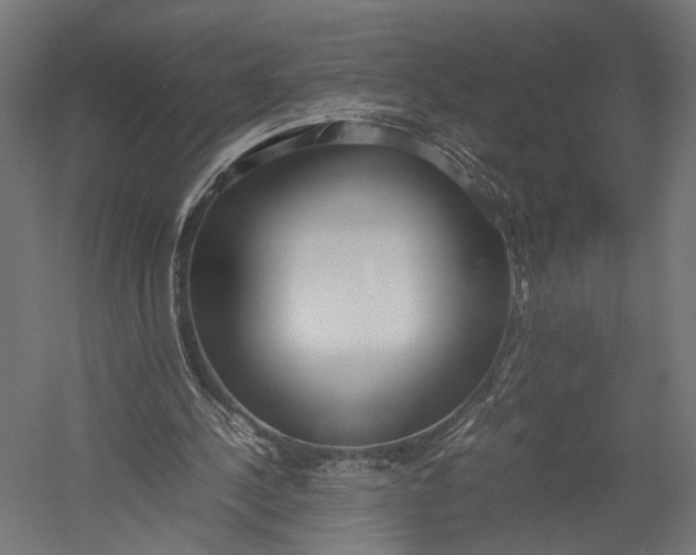 X0000052950244200507300052
