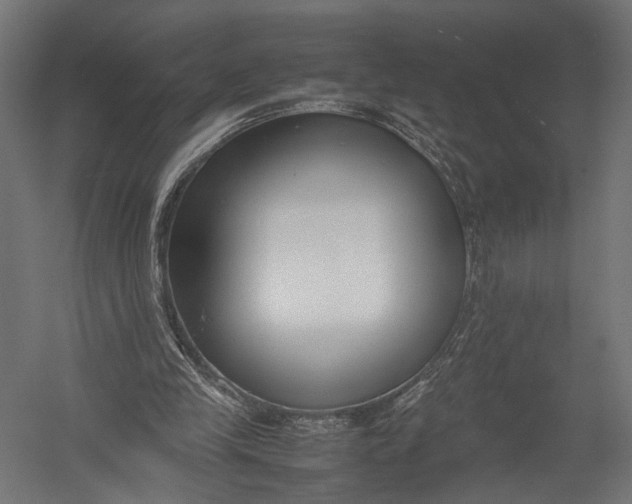 X0000052950245200507300052