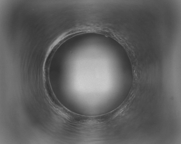 X0000052950246200507300052