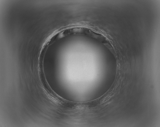 X0000052950248200507300052