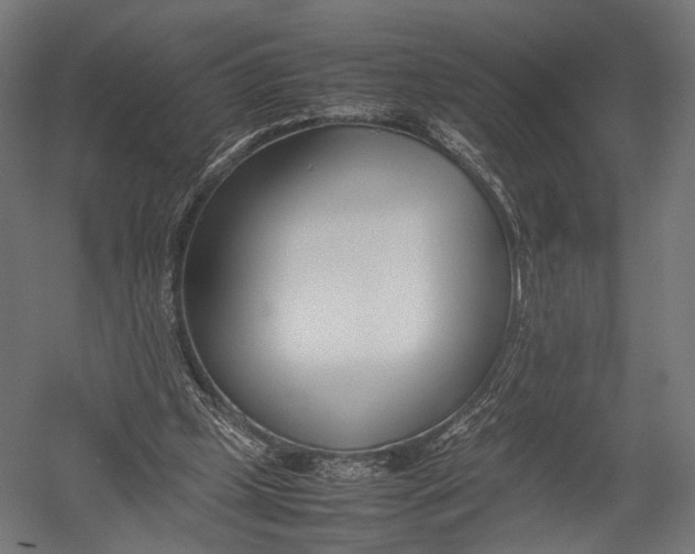 X0000052950249200507300052