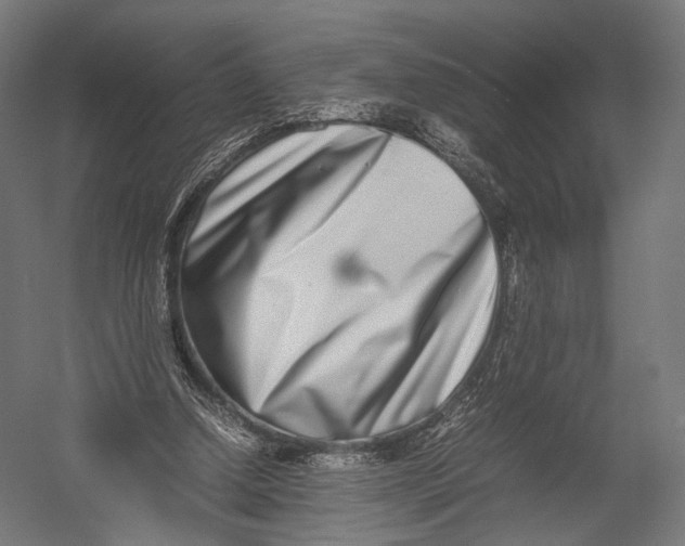 X0000052950250200507300052