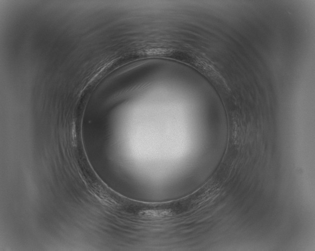 X0000052950251200507300052