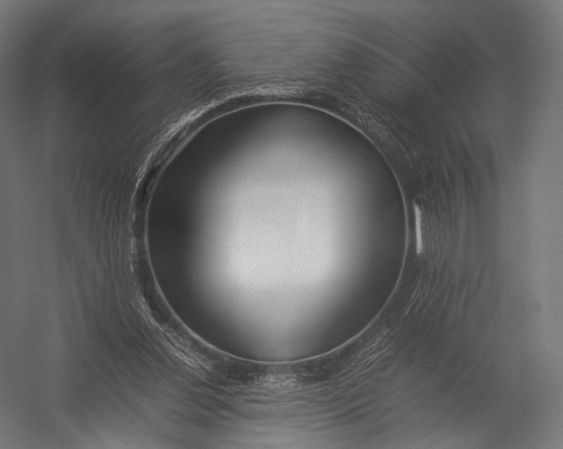 X0000052950252200507300052