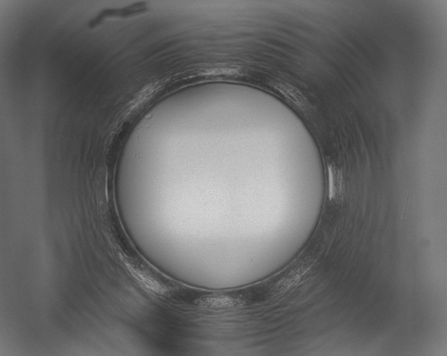 X0000052950253200507300052