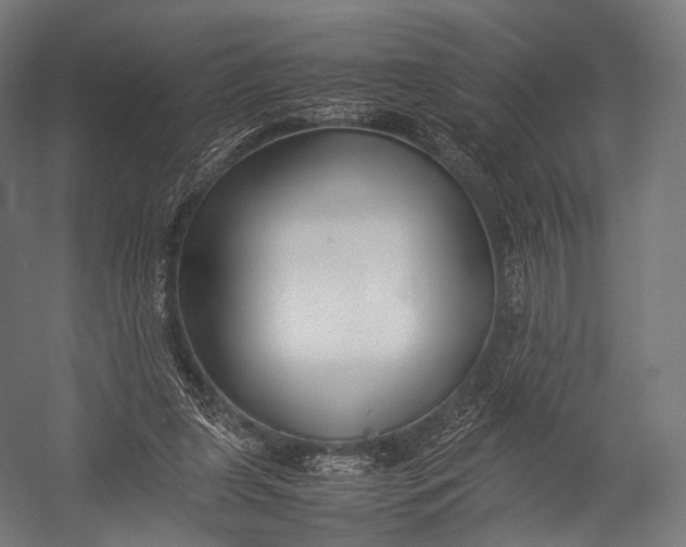 X0000052950255200507300052