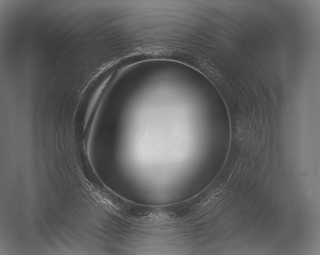 X0000052950256200507300053