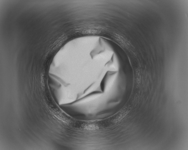 X0000052950258200507300053