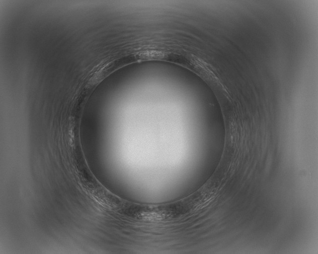 X0000052950259200507300053