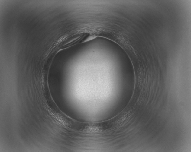 X0000052950260200507300053