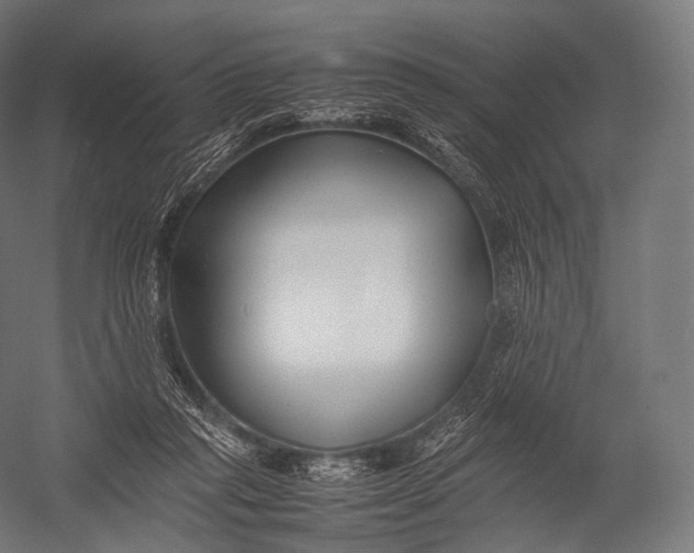 X0000052950261200507300053