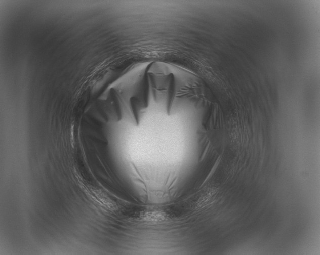 X0000052950262200507300053