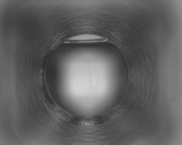X0000052950263200507300053