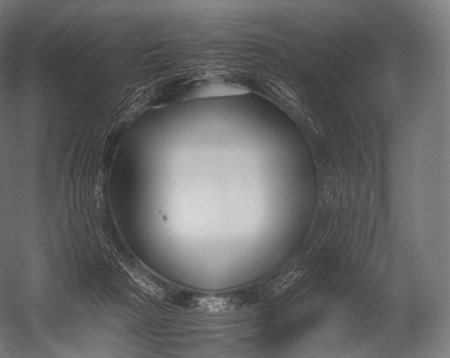 X0000052950265200507300053