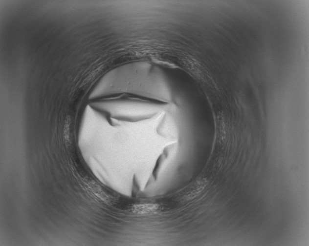 X0000052950266200507300053