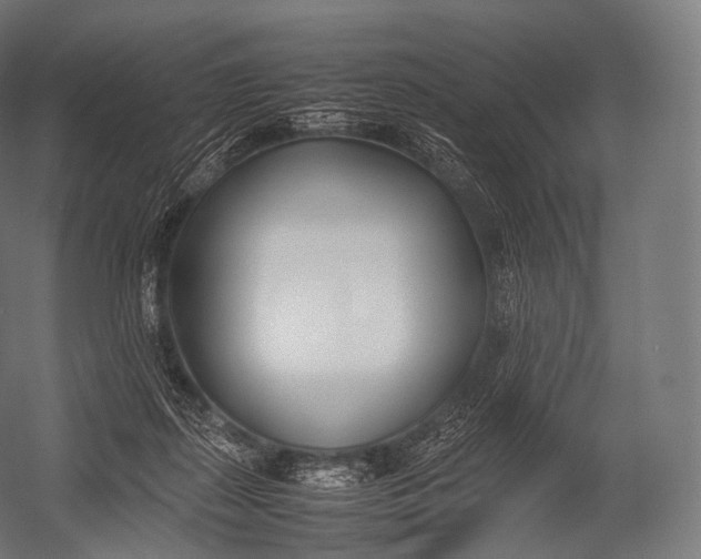 X0000052950267200507300053