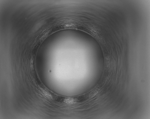 X0000052950269200507300053