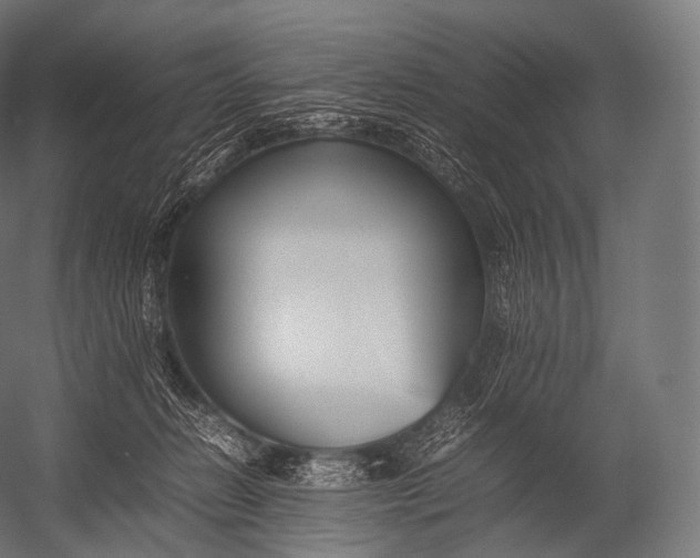 X0000052950270200507300053