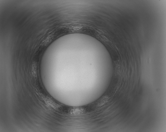 X0000052950274200507300053