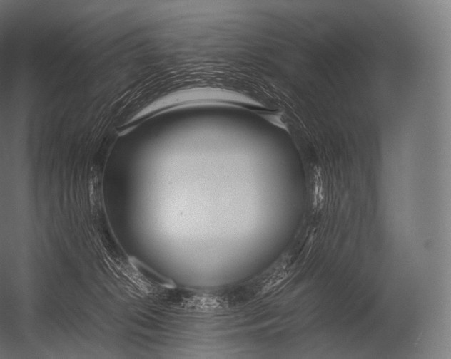 X0000052950276200507300053