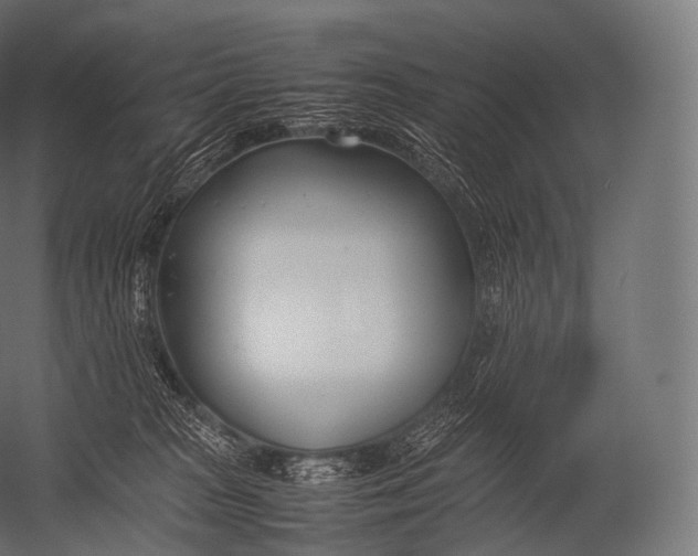 X0000052950277200507300053