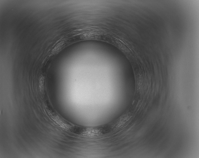 X0000052950278200507300053