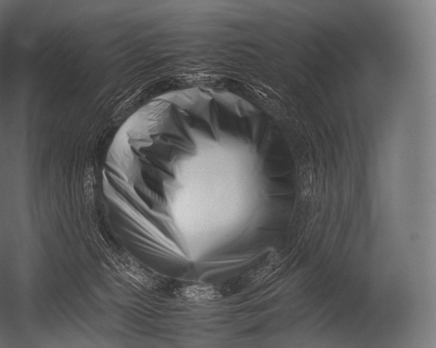 X0000052950279200507300053