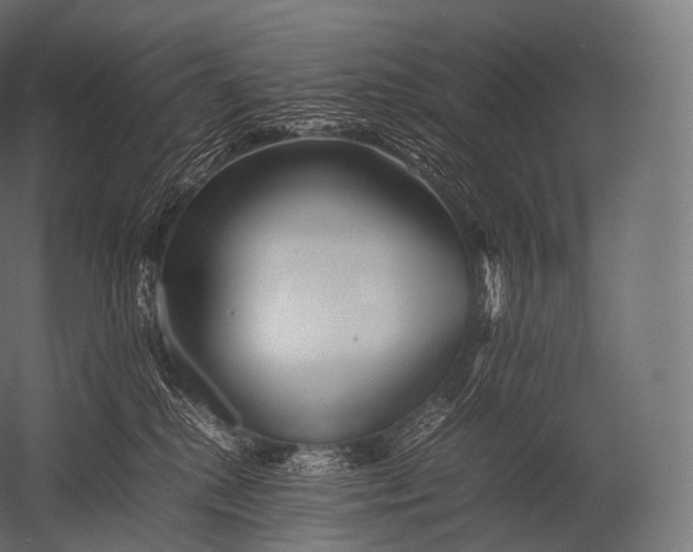 X0000052950280200507300053