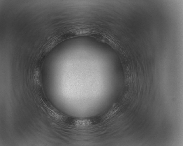 X0000052950281200507300053