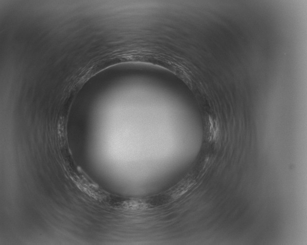 X0000052950284200507300053