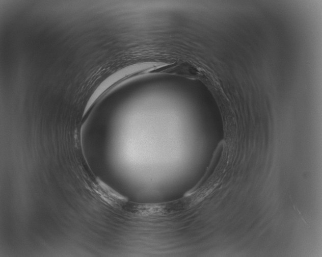 X0000052950288200507300053