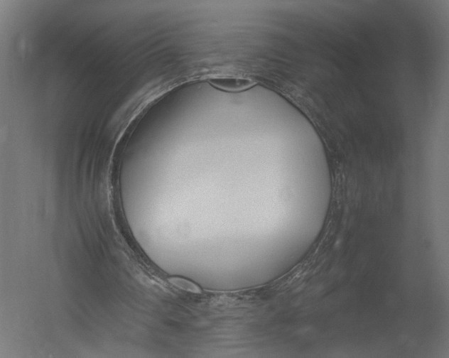 X0000052950290200507300052