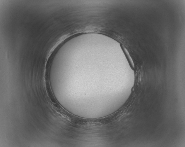 X0000052950292200507300052