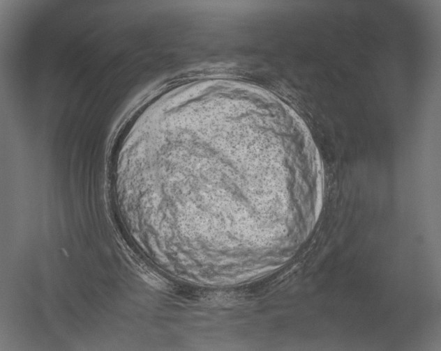 X0000052950293200507300052