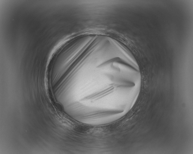 X0000052950294200507300052