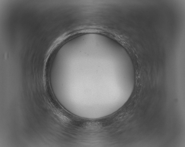X0000052950296200507300052