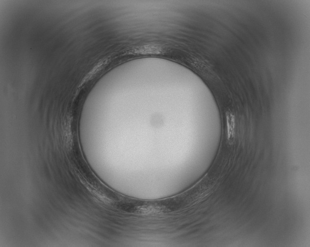 X0000052950300200507300052