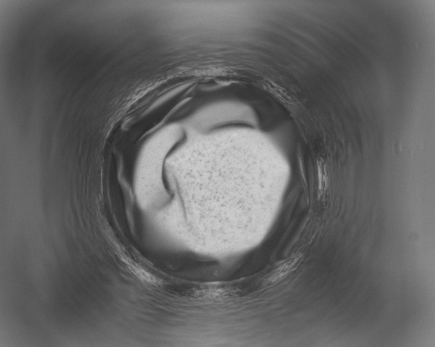 X0000052950301200507300052