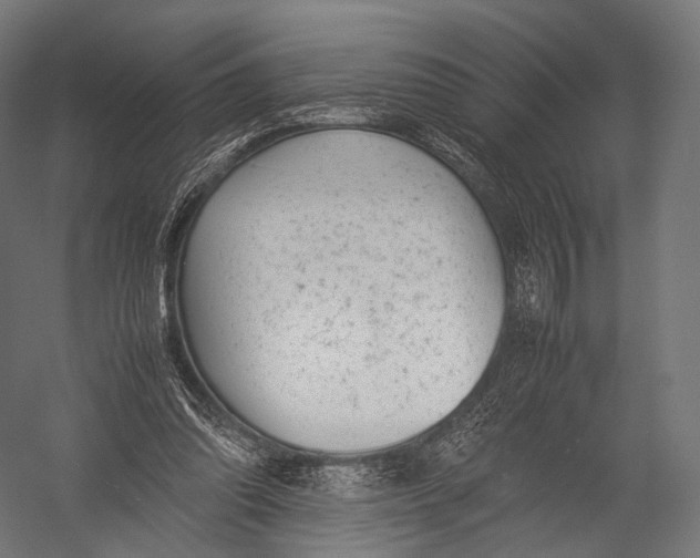 X0000052950302200507300052