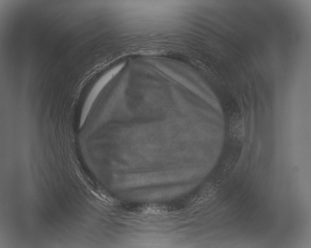 X0000052950303200507300052