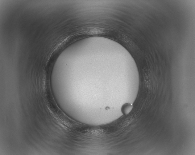 X0000052950304200507300052