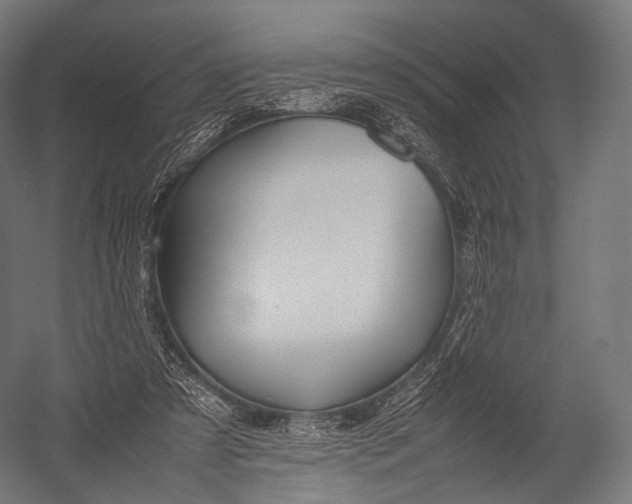X0000052950305200507300052