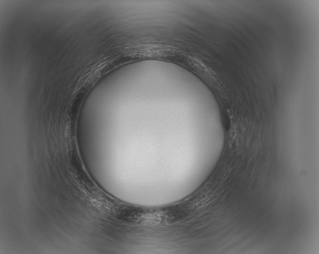 X0000052950306200507300052