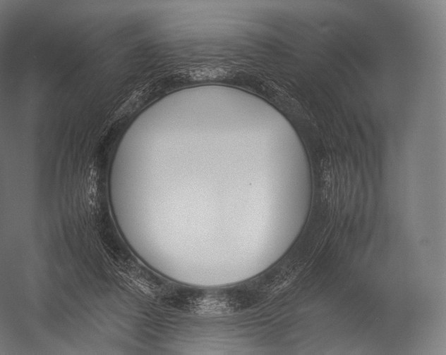 X0000052950308200507300052